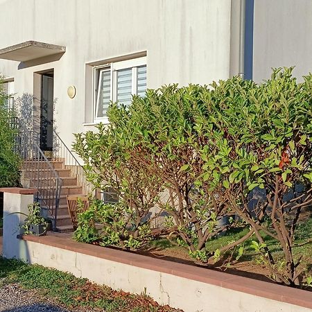 Strasbourg 3 Pieces Avec Jardin Apartment Brumath Exterior foto