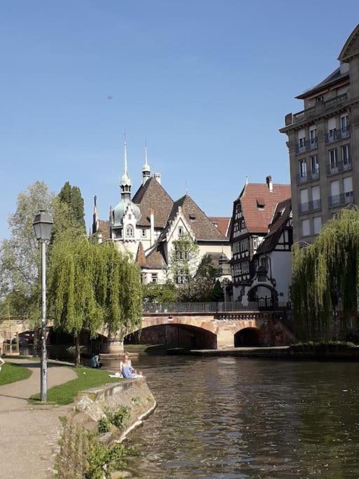 Strasbourg 3 Pieces Avec Jardin Apartment Brumath Exterior foto