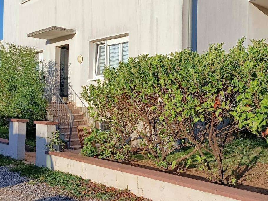 Strasbourg 3 Pieces Avec Jardin Apartment Brumath Exterior foto